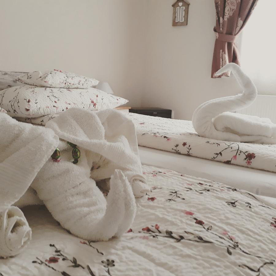 Abraham Vintage Szobak & Apartmanok Pecs Ngoại thất bức ảnh
